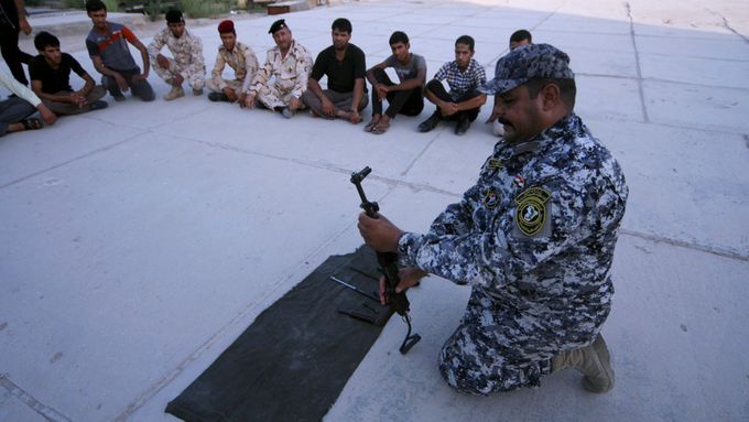 Proti Islámskému státu zatím bojuje irácká armáda.