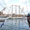 Holandsko, Amsterdam, moře, plachetnice, festival