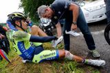 De la Cruz není jediným Šapnměl, který už na Tour de France dozávodil. Jeden z klíčových momentů letošní Tour de France přišel v 10. etapě. Velký favorit Alberto Contador se při pádu ošklivě potloukl a musel ze závodu odstoupit.