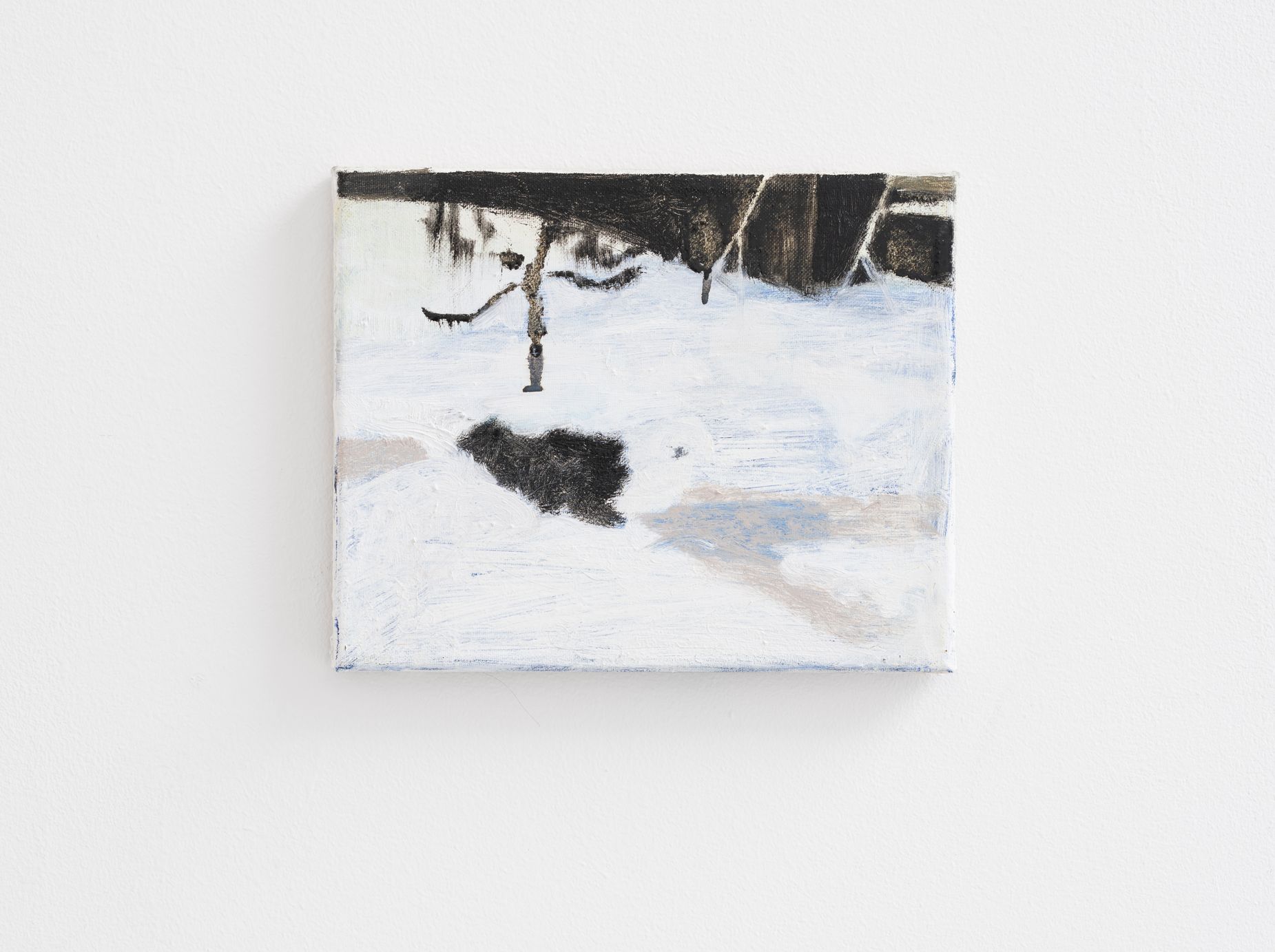 Ester Knapová, Trafo Gallery, 2024