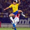 Brazílie - Paraguay: Pato