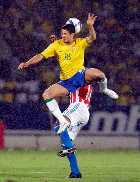 Brazílie - Paraguay: Pato