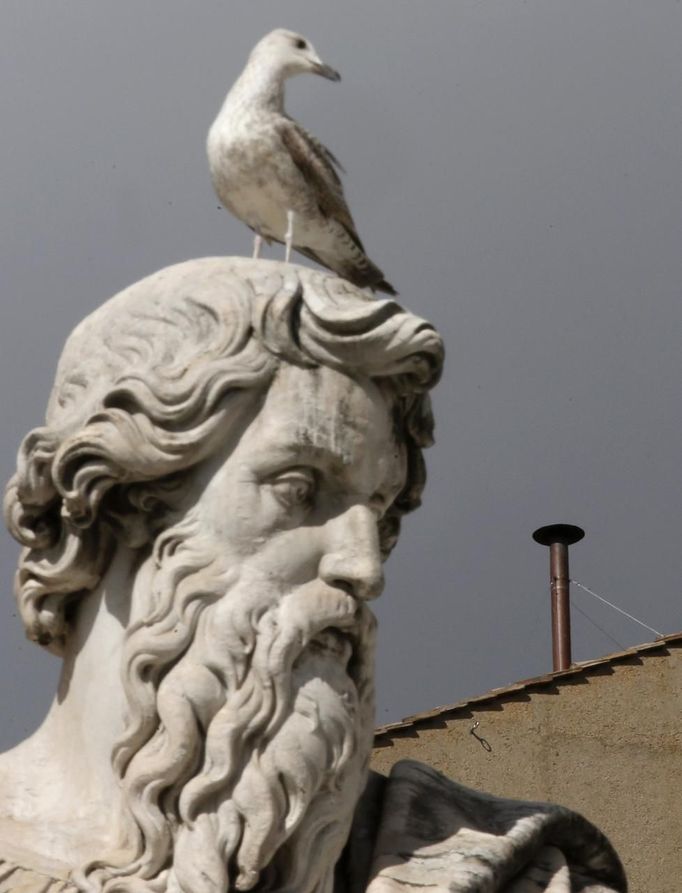 A seagull perches on St Paul's statue in front of the chimney set on the roof of the Sistine Chapel at the Vatican March 10, 2013. Roman Catholic cardinals will enter a conclave to elect a successor to Pope Benedict on March 12, the Vatican said on Friday, with no clear favorite emerging so far to take charge of the troubled Church. REUTERS/Christian Hartmann (VATICAN - Tags: RELIGION ANIMALS) Published: Bře. 10, 2013, 12:16 odp.