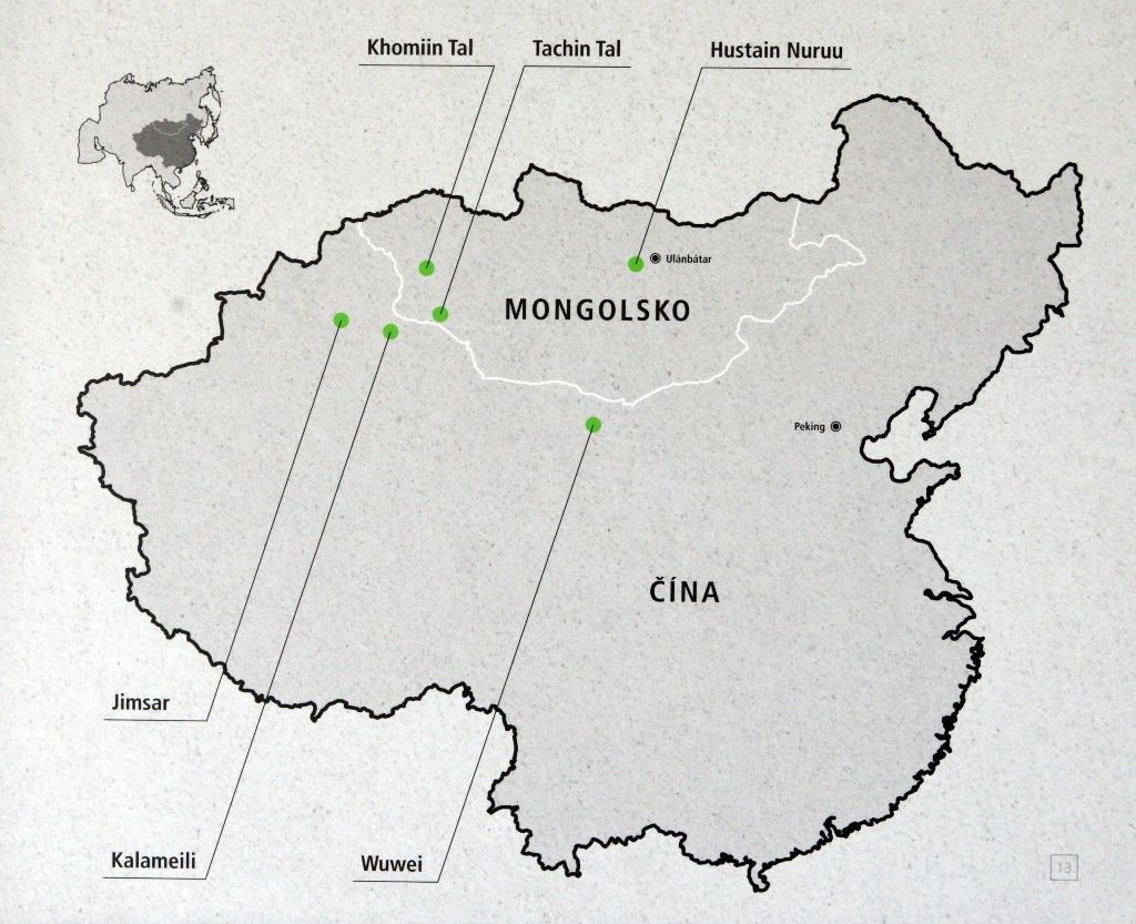 Odlet koně Převalského do Mongolska