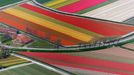 Aerial view of flower field patterns surrounding Amsterdam, Holland Aerial view of flower field patterns surrounding Amsterdam, Holland