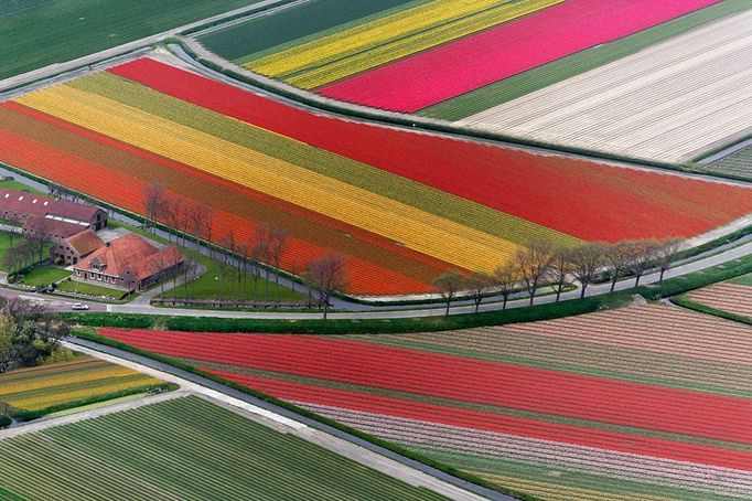 Aerial view of flower field patterns surrounding Amsterdam, Holland Aerial view of flower field patterns surrounding Amsterdam, Holland