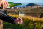 Txakoli neboli čakolí je jemně perlivé, velmi suché bílé víno s vysokou kyselinkou a nízkým obsahem alkoholu vyráběné v Baskicku, Kantábrii a severním Burgosu ve Španělsku.