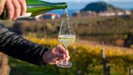 Txakoli neboli čakolí je jemně perlivé, velmi suché bílé víno s vysokou kyselinkou a nízkým obsahem alkoholu vyráběné v Baskicku, Kantábrii a severním Burgosu ve Španělsku.