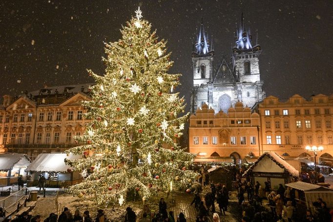 Pohled na vánoční strom v Praze na Staroměstském náměstí. 2. 12. 2023