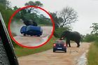 Slon napadl auto britských turistů. Skončili v nemocnici