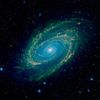 Messier 81 - takzvaná spirální galaxie v souhvězdí Velké medvědice