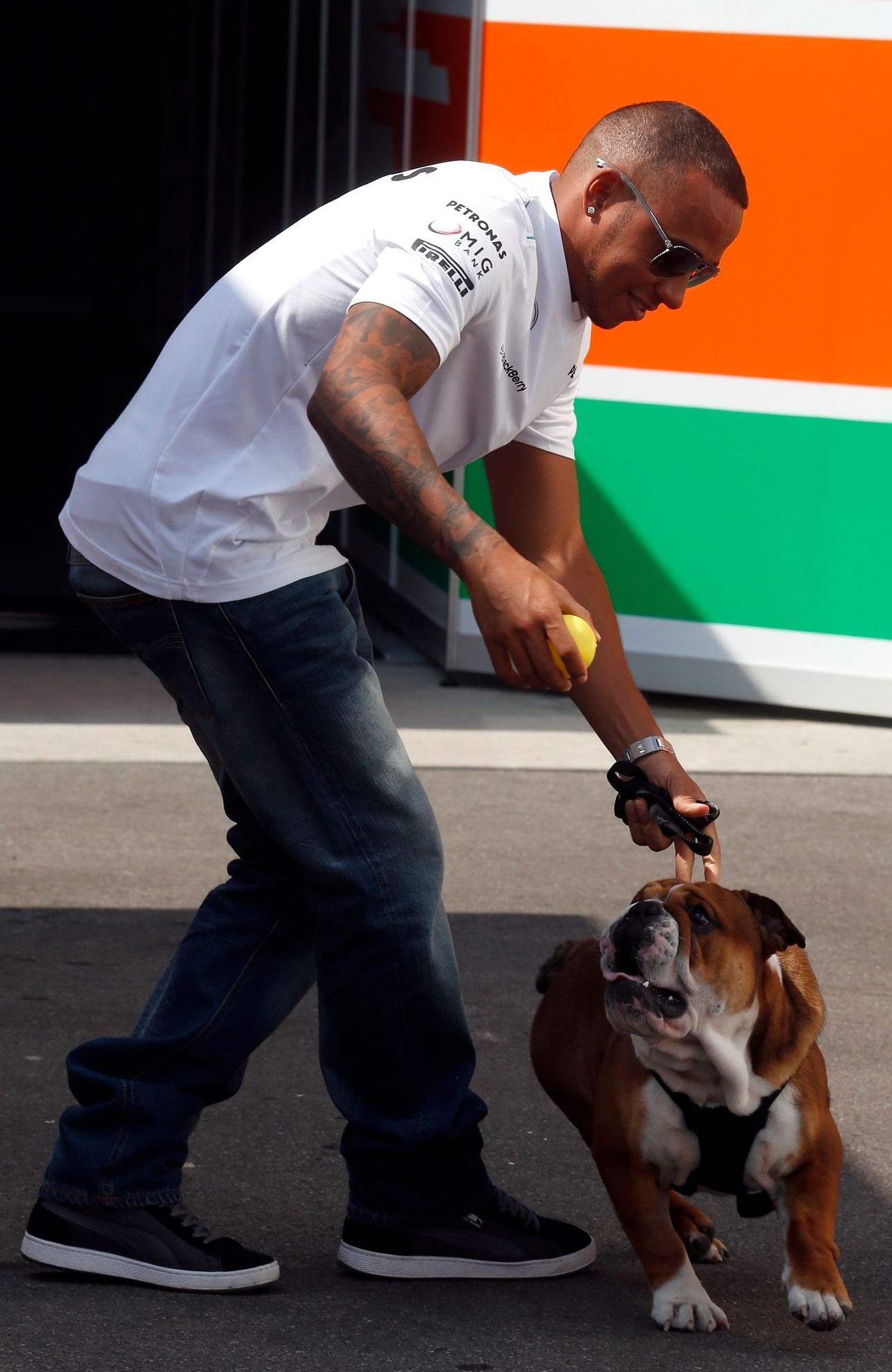Formule 1, GP Itálie 2013: Lewis Hamilton a pes Roscoe