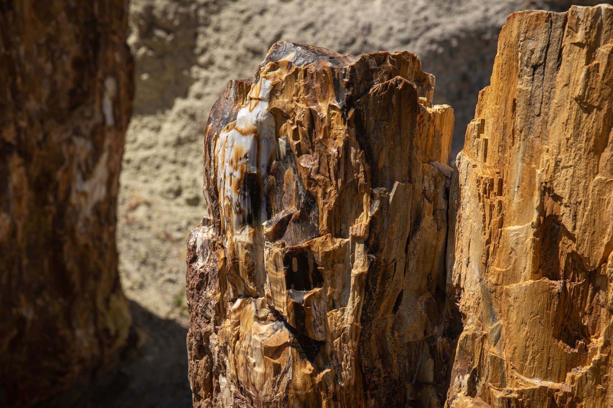 Lesbos turistické tipy, turismus, historie, antické památky, akvadukt, zkamenělý les UNESCO