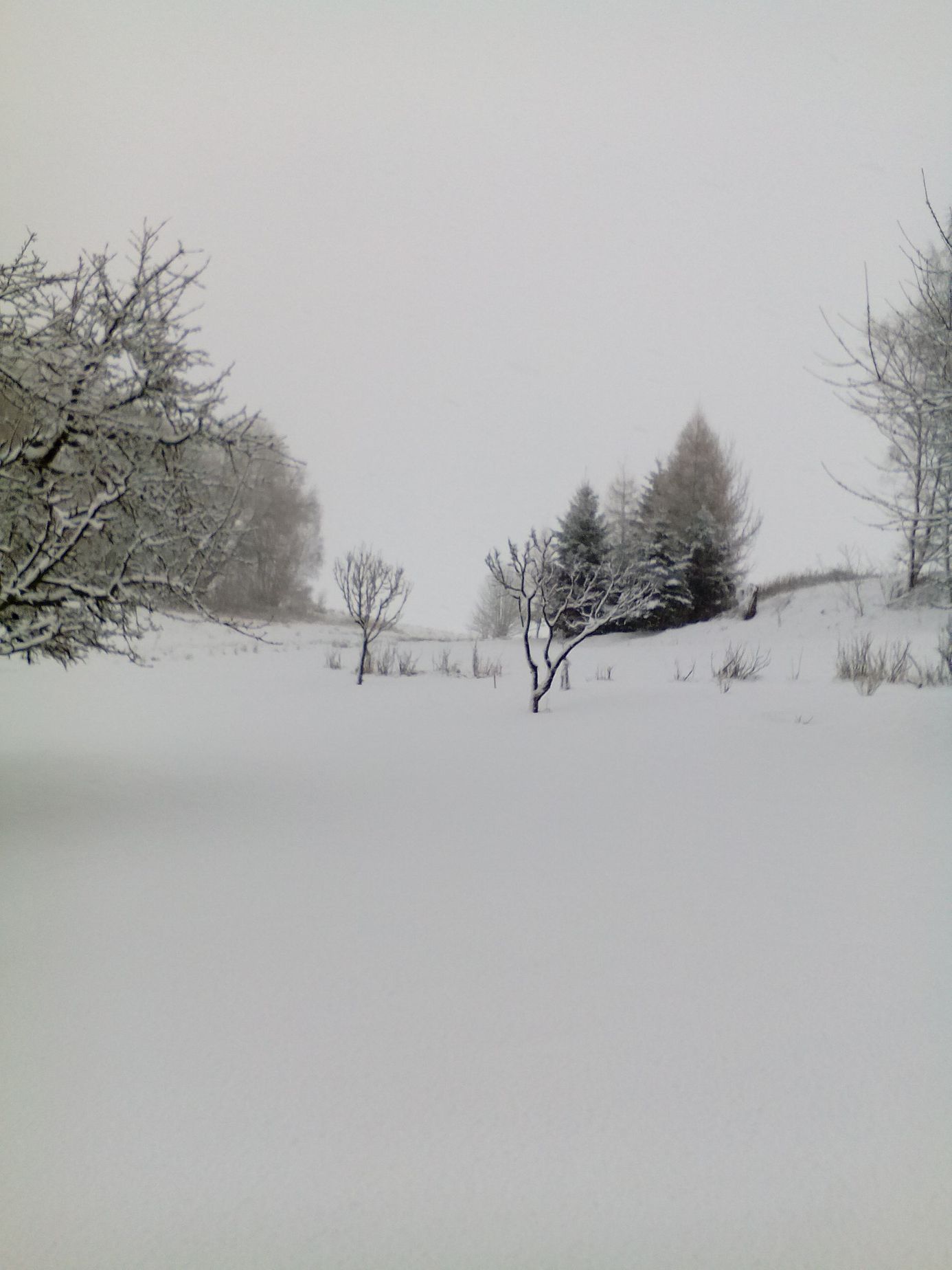 Sněžení - čtenářské foto