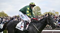 Stumptown ve 135. Velké pardubické