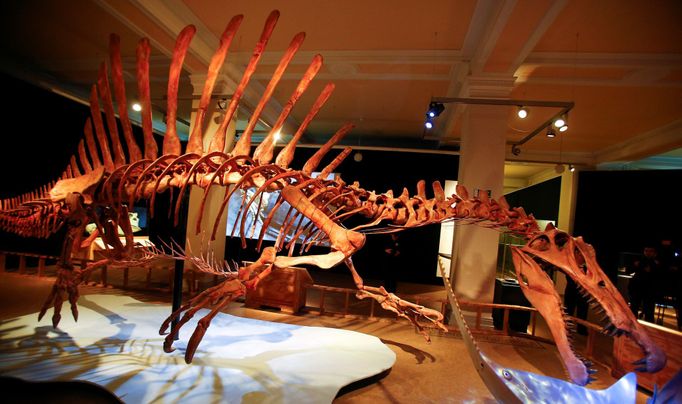 Vědci se domnívají, že vodní dinosaurus byl velmi schopný plavec. Jeho podlouhlý ocas pravděpodobně sloužil jako kormidlo, jeho hřbetní ploutev zase rozrážela vodu.