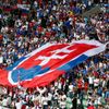 Euro 2016, Slovensko-Anglie: slovenští fanoušci v hledišti