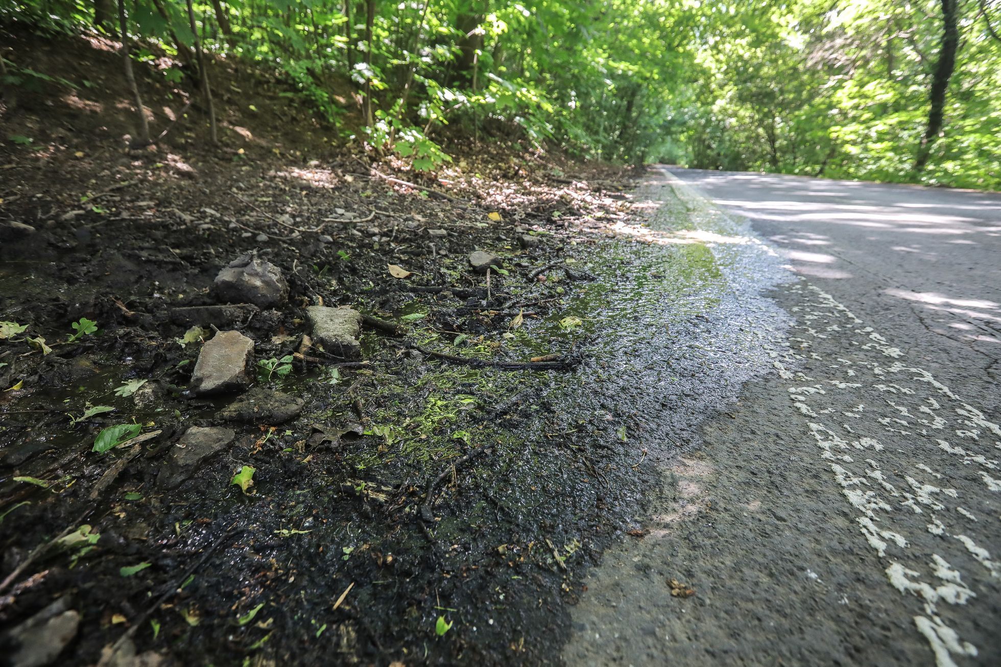 Studánky a prameny v Praze