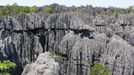 Suché lesy Andrefana, Madagaskar