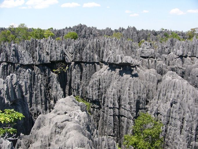 Suché lesy Andrefana, Madagaskar