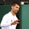 Wimbledon 2022, middle sunday (Novak Djokovič)