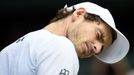 Wimbledon 2017: Andy Murray