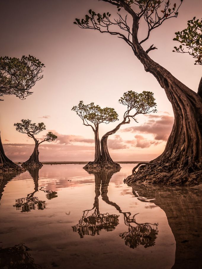 Vítězové Sony World Photography Awards 2020 - Krajina, Travel