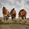 Foto: Krása Mongolska očima fotografa Petra Juračky !!! Fotografie nepoužívat v článcích !!!