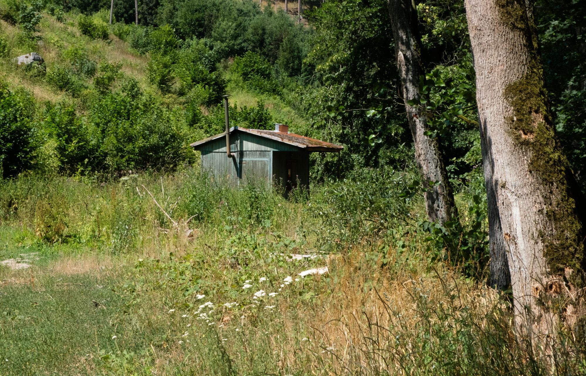 Údolí řeky Bobrovky