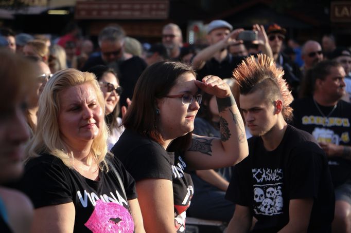 Pondělní demonstraci organizovala Česká obec hudební - otevřená pracovní skupina zastánců českého hudebního průmyslu a služeb či profesí s ním spojených.