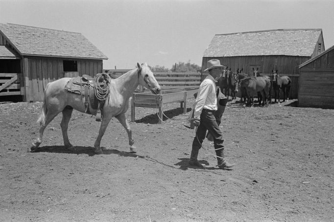 Kovboj v Texasu na snímku Leeho Russela, 1939.