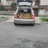 NEPOUŽÍVAT !!! Fotosoutěž houby 2017