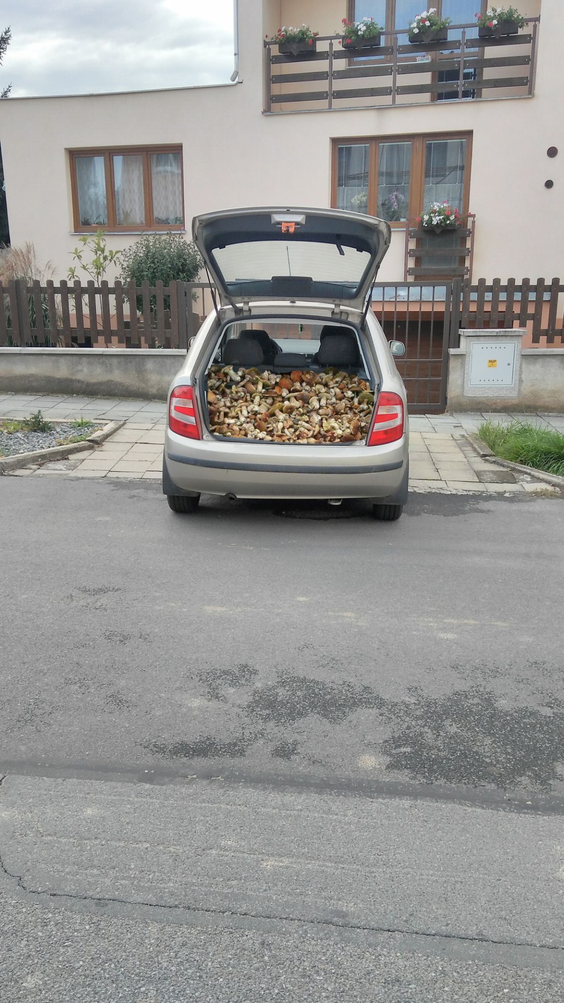 NEPOUŽÍVAT !!! Fotosoutěž houby 2017