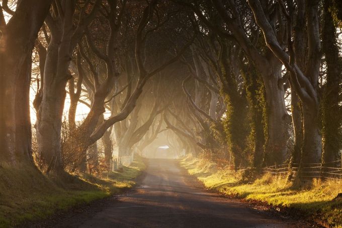 Dark Hedges, Severní Irsko