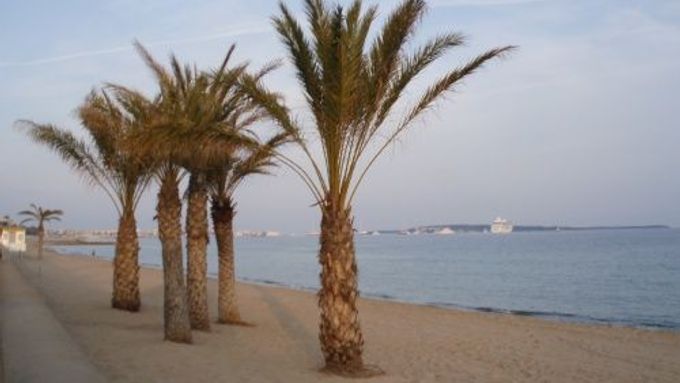 Cannes: Pobřeží lemují pláže s palmami