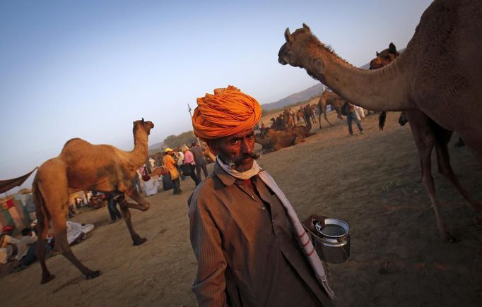 A camel herder walks with a container of milk at Pushkar Fair in the desert Indian state of Rajasthan November 23, 2012. Many international and domestic tourists throng to Pushkar to witness one of the most colourful and popular fairs in India. Thousands of animals, mainly camels, are brought to the fair to be sold and traded. REUTERS/Danish Siddiqui (INDIA - Tags: SOCIETY ANIMALS TPX IMAGES OF THE DAY) Published: Lis. 23, 2012, 9:25 odp.