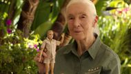 jane goodallová