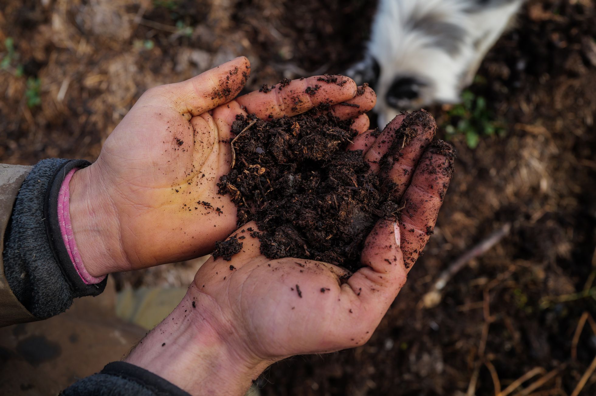 marek slovacek, mezi poli