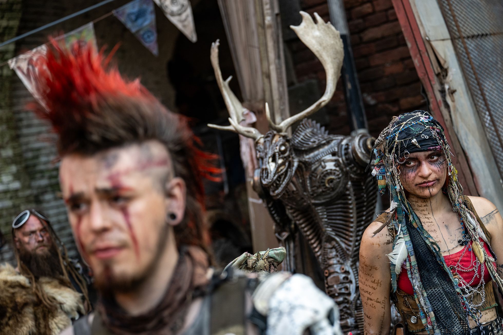 Brutal Assault 2024, festival