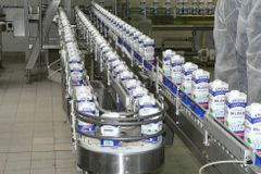 Madeta sehnala dalších 175 tisíc litrů mléka denně. Postupně látá "německou ztrátu"