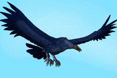 Prehistorický ptačí obr létal. Jako větroně