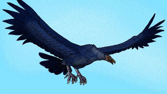 Prapředek dnešních ptáků Argentavis měl rozpětí křídel téměř sedm metrů.