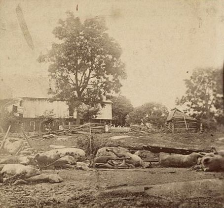 Fotogalerie / Bitva u Gettysburgu / Library of Congress / 14