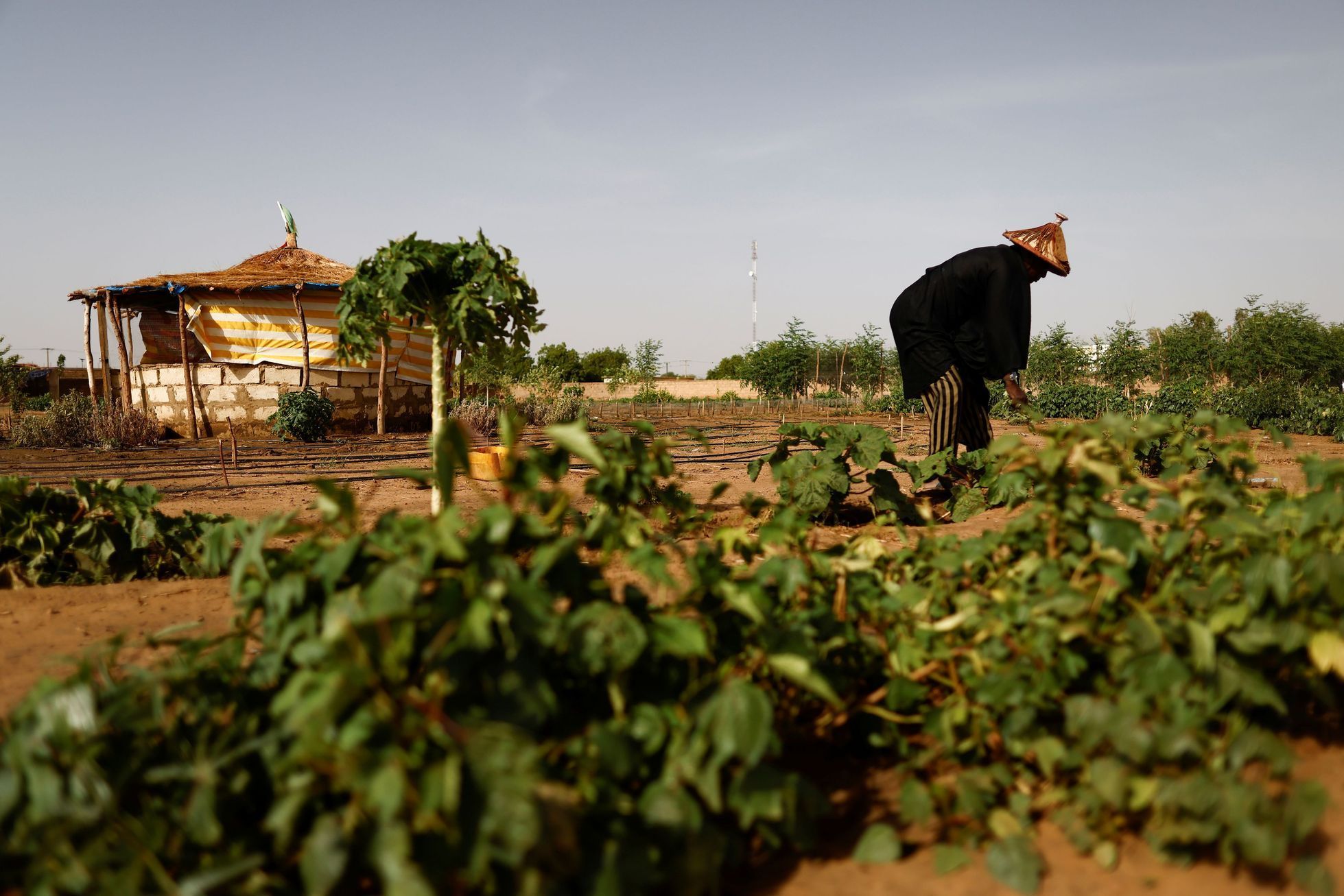 senegal tolou keur kruhové zahrady dezertifikace