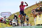 Horskou etapu Tour uzmul Martínez před duem Němců. Roglič dál vede, Bernal se propadl