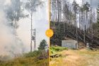 "Jako zázrak." České Švýcarsko se rok po požáru opět zelená, ukazují srovnávací fotky