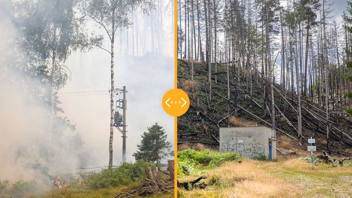 "Jako zázrak." České Švýcarsko se rok po požáru opět zelená, ukazují srovnávací fotky; Zdroj foto: Aktuálně.cz