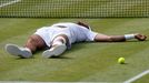 Djokovič vs. Del Potro, semifinále Wimbledonu 2013.