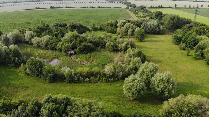 Biocentrum Mokroš v Mořicích je veřejně přístupné jako naučná plocha, obsahující původní i lidmi záměrně rozšiřovanou flóru. Slouží jako retenční nádrž a úkryt pro zvěř.