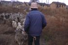 Ovce zčernaly od sazí. Boj s emisemi zatím sever Číny prohrává